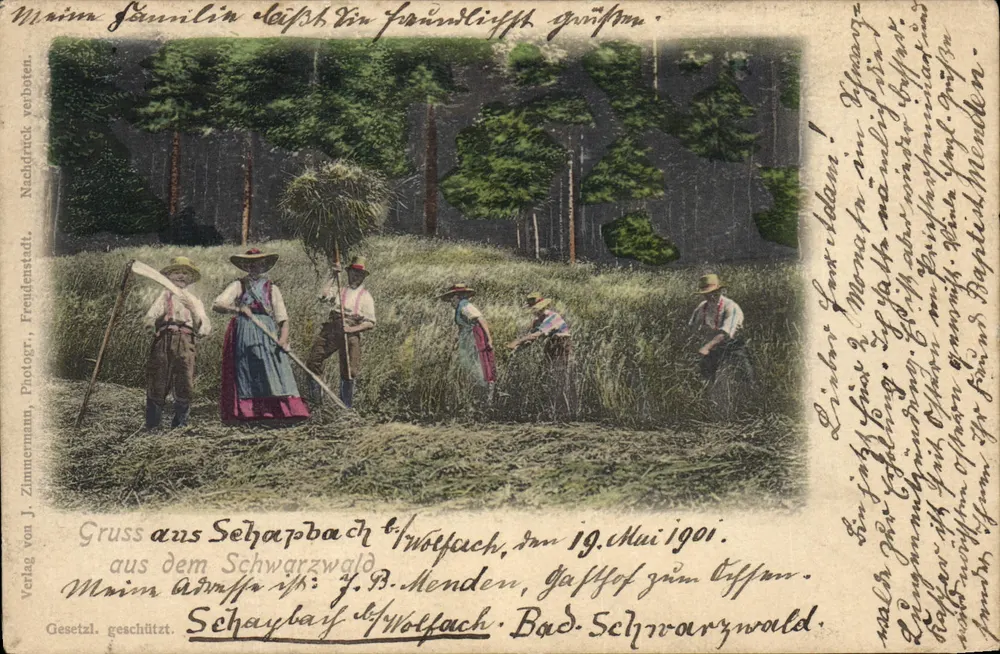 Sceny zbioru w Schwarzwaldzie — Schaybach/Wolfach — Verlag von J. Zimmermann, Freudenstadt - Awers