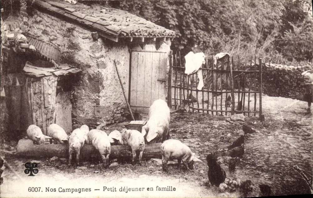 Unsere Landwirtschaft — Frühstück in der Familie — M.T. (Verlag) Nr. 6007 - Vorderseite