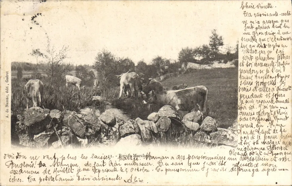 Bois de carneiros — Inglaterra — A. de Nussac, edição Guéré - Frente