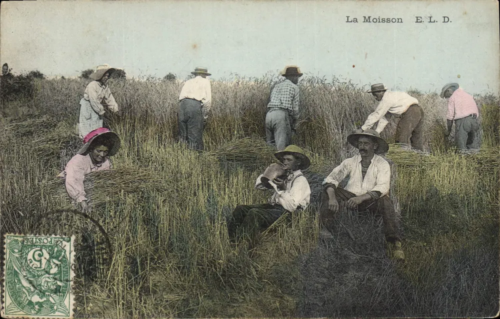 A Colheita — Cena de colheita de trigo — E.L.D. - Frente