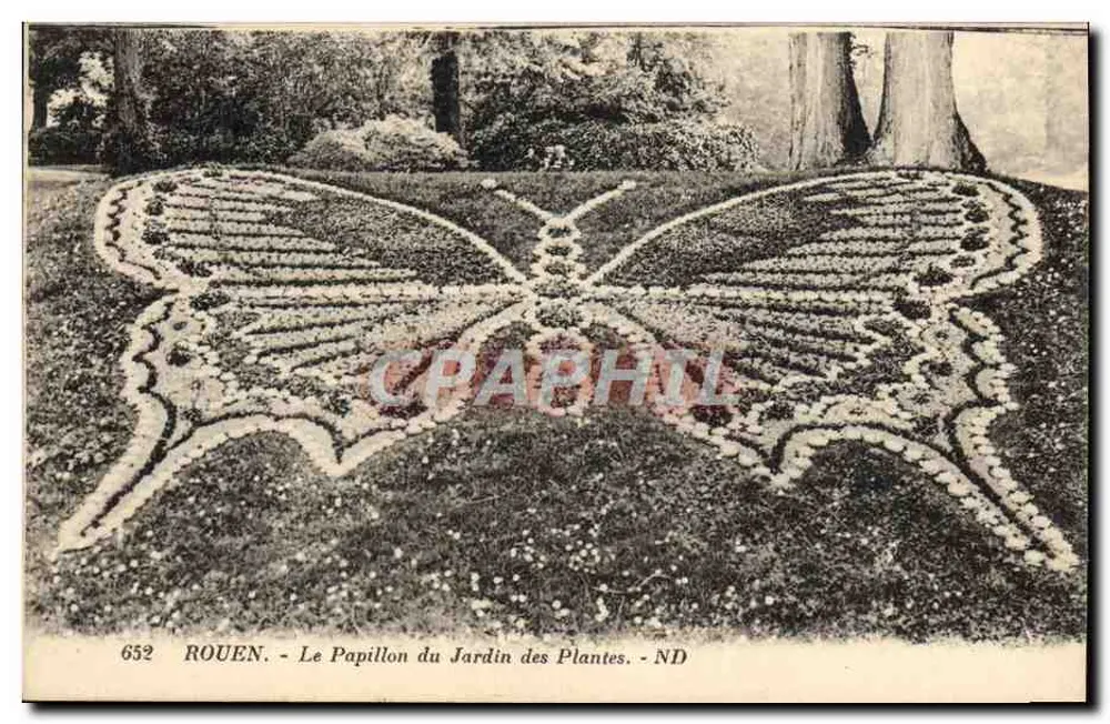 Rouen - Der Schmetterling des Jardin des Plantes - 652 - Vorderseite