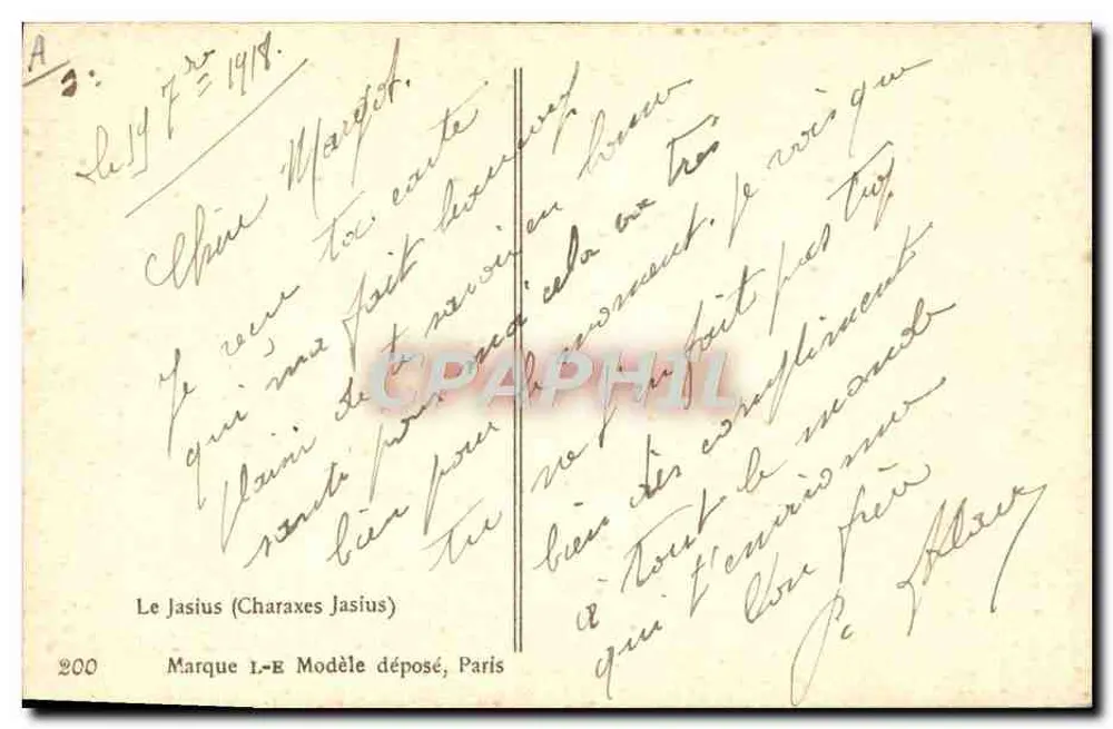 Dois pavões — Jasius (Charaxes Jasius) — Millot, n°200 - Verso