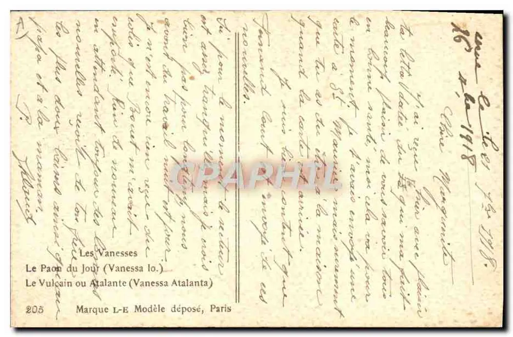 Zwei Schmetterlinge — Peacock und Vulcain — gezeichnet von Alillat - Rückseite