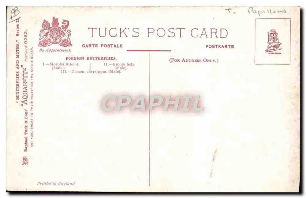 Drei exotische Schmetterlinge — Aquarell — Tuck's Post Card, Serie 9262 - Rückseite