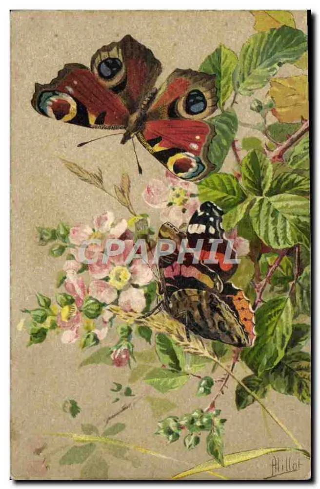Zwei Schmetterlinge — Alillot — n°205 - Vorderseite