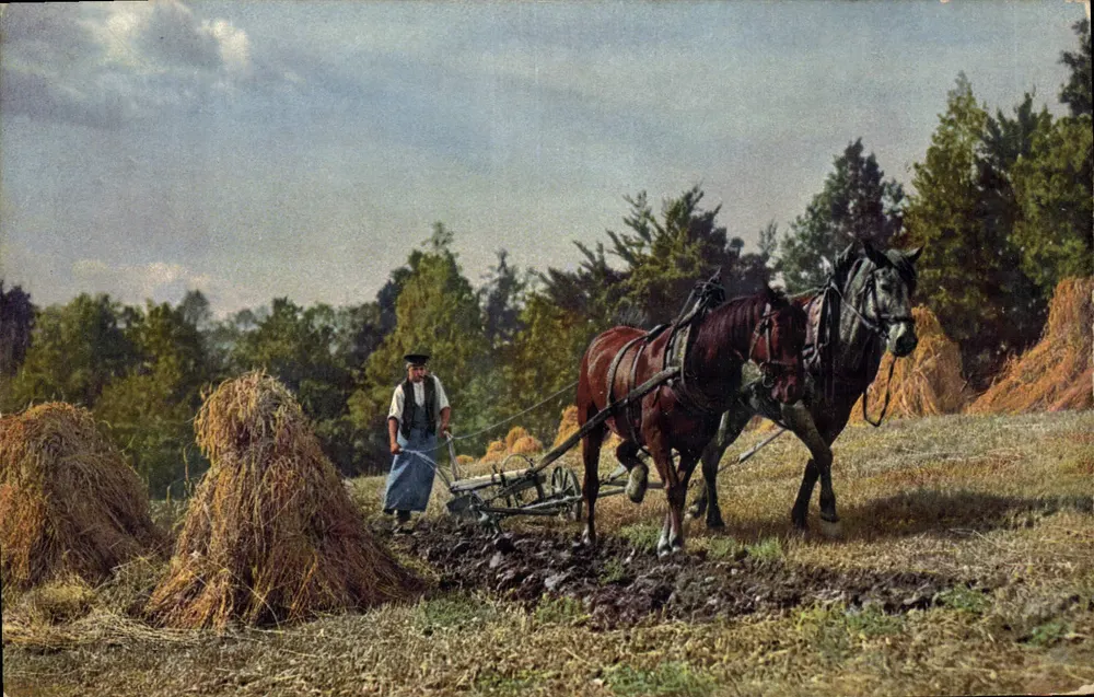 Agricultura — Trabalho nos campos com dois cavalos — Photochromie, série 106, n° 2247 - Frente