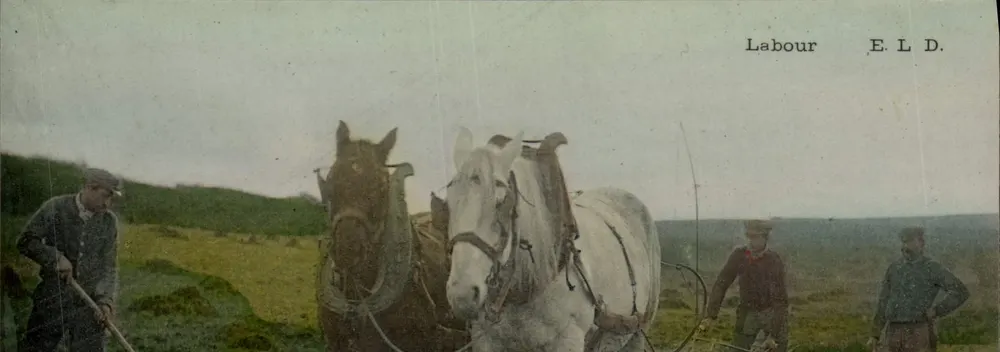 Trabalho — Trabalho agrícola a cavalo — E. L. D. - Frente