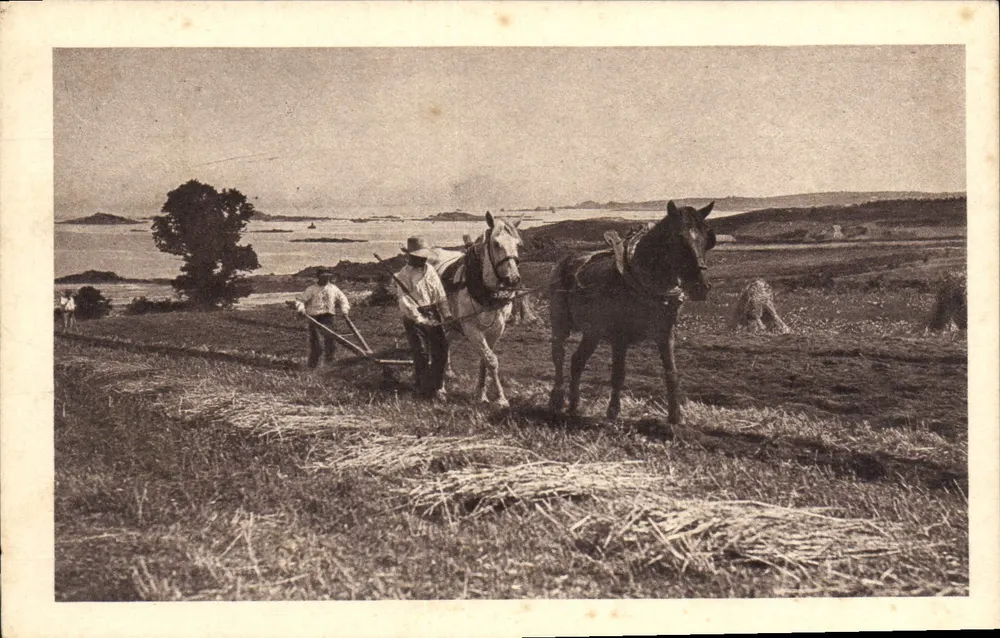 Agricultores com cavalos em um campo — vista de campo com lago — editor não identificado - Frente
