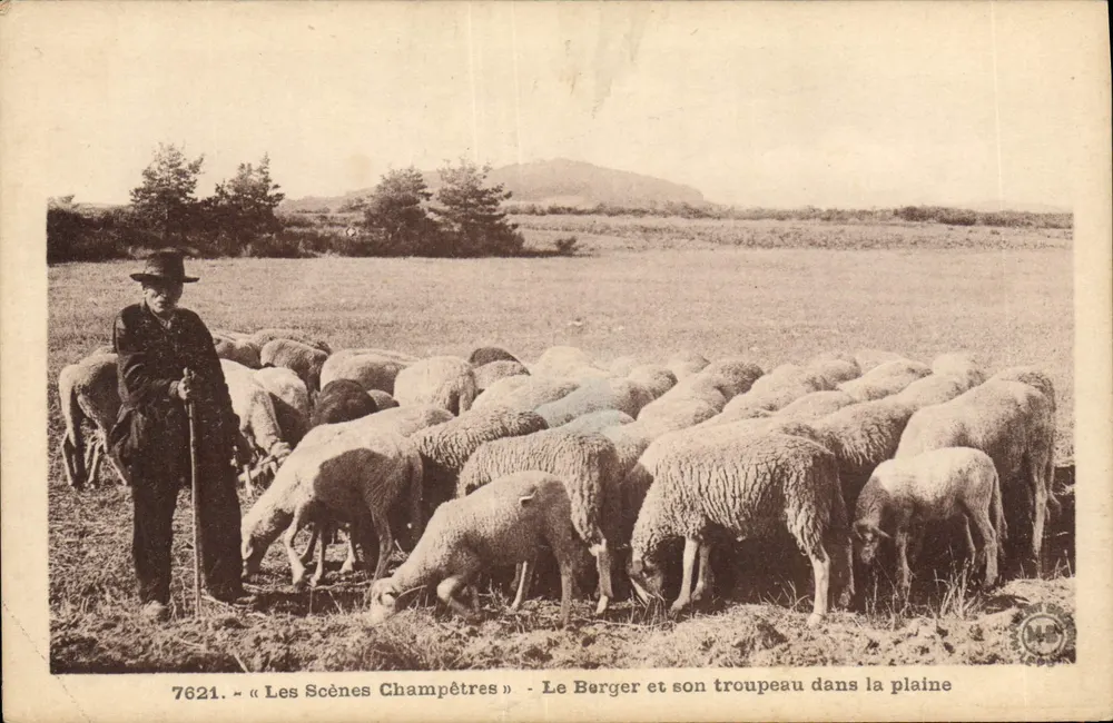 Der Schäfer und seine Herde in der Ebene — Landliche Szenen — n°7621 — Editions d'Art MARGERIT BRÉMOND - Vorderseite