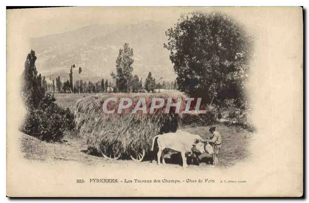 PYRÉNÉES - Die Feldarbeiten - Heuwaage - B. F. Echbaur, Lourdes - Vorderseite