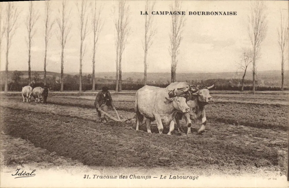 Das bourbonische Land — Feldarbeit — Pflügen — Ideal, n°31 - Vorderseite