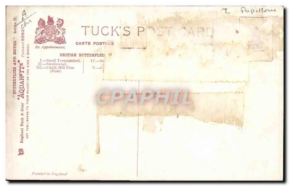 Cinco borboletas britânicas — Aquarela — Tuck & Sons, série II - Verso