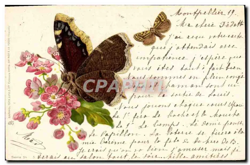 Mariposa e flores — Editor Raphael Ducer & Filhos, série 54 — Montpellier - Frente