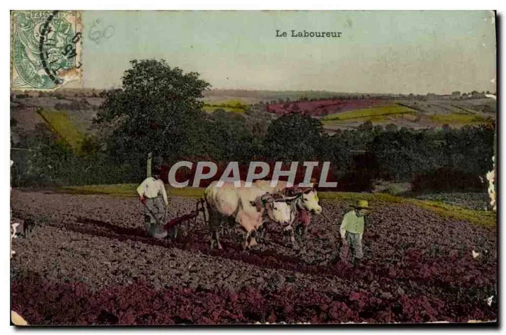 Le Laboureur — scène de travail agricole avec bœufs — éditeur imprimeur non visible - Frente