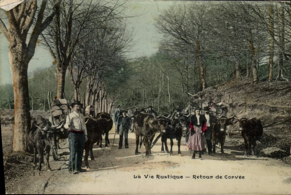 La Vie Rustique — Retour de Corvée — Éditeur P. I. U. - Frente