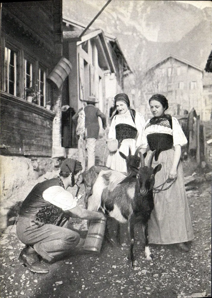 Cena de aldeia alpina — homens e mulheres em trajes tradicionais com cabras — n°12 - Frente