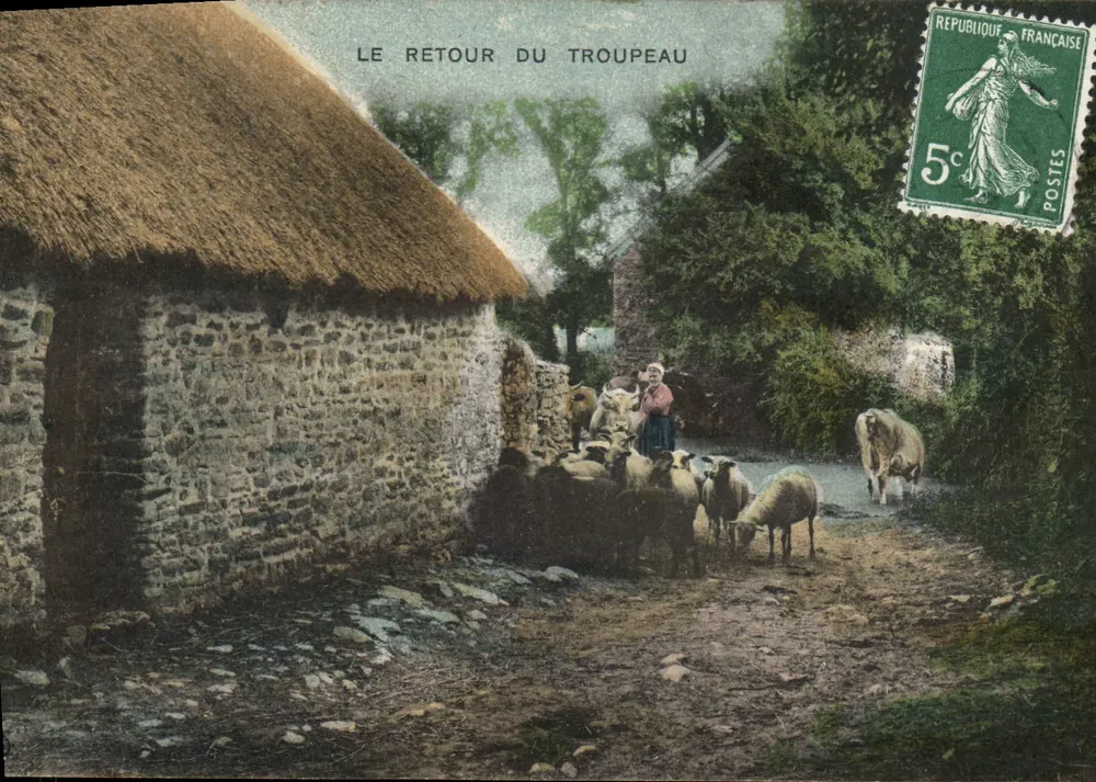 O retorno do rebanho — cena pastoral — editor não visível - Frente