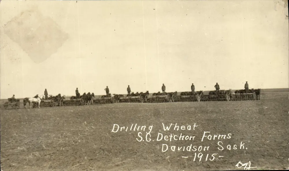 Trator de trigo — S.G. Detchon Farms, Davidson, Saskatchewan — 1915 - Frente