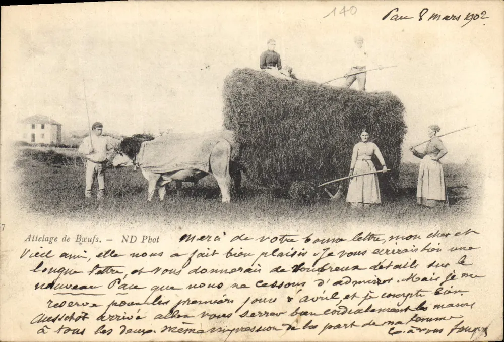 Attelage de Bœufs — scène de labour avec balles de foin — ND Phot, n° 140 - Frente