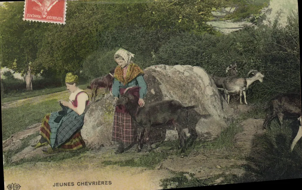Jeunes Chevrières — scène pastorale avec brebis et chèvres — éditeur E.D. n° 103 - Frente