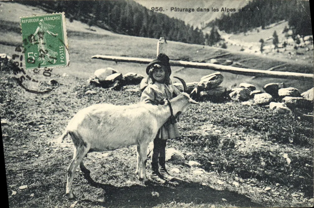 Alpenweide - E.R.K. — 956 - Vorderseite