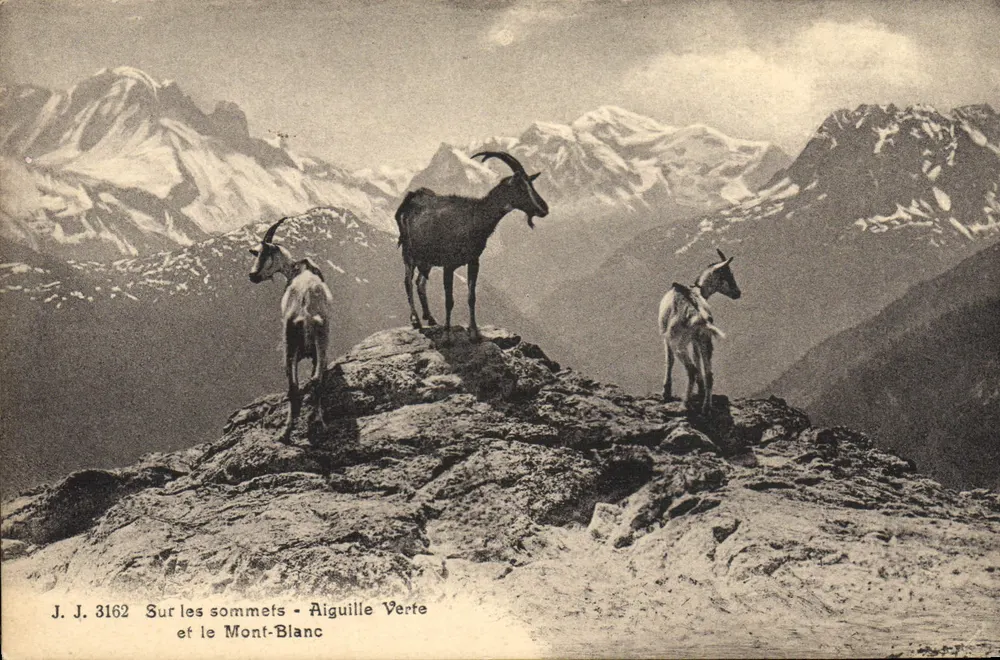 Auf den Gipfeln — Aiguille Verte und der Mont-Blanc — J. J. 3162 - Vorderseite