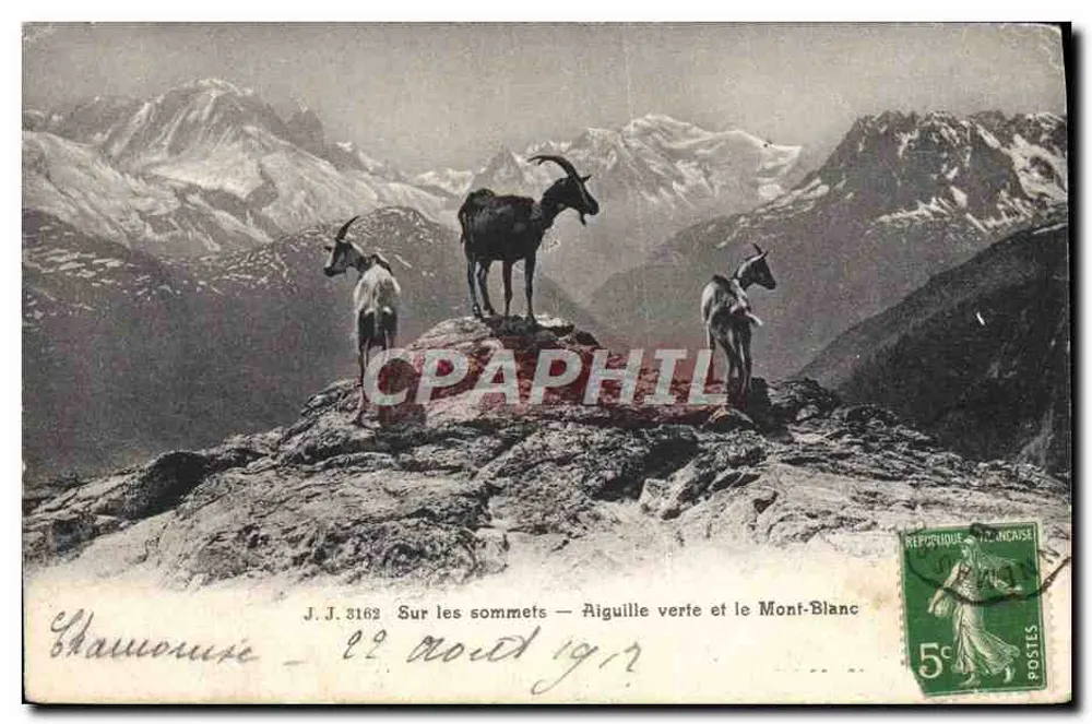 Chamonix — Auf den Gipfeln — Grüne Nadel und Mont Blanc — J.J. 3162 - Vorderseite