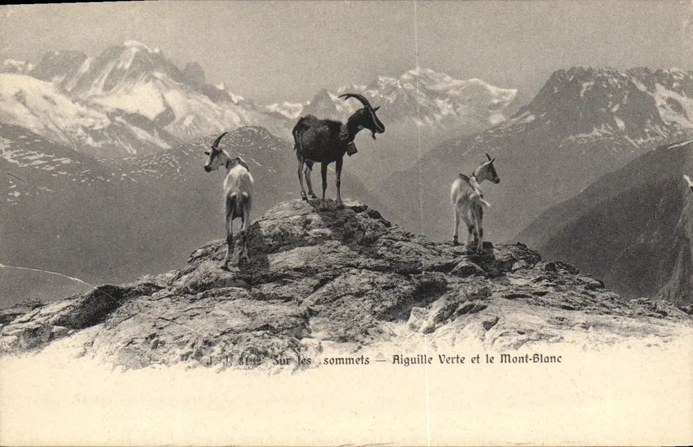 Auf den Gipfeln — Aiguille Verte und Mont Blanc — J. J. Sire - Vorderseite