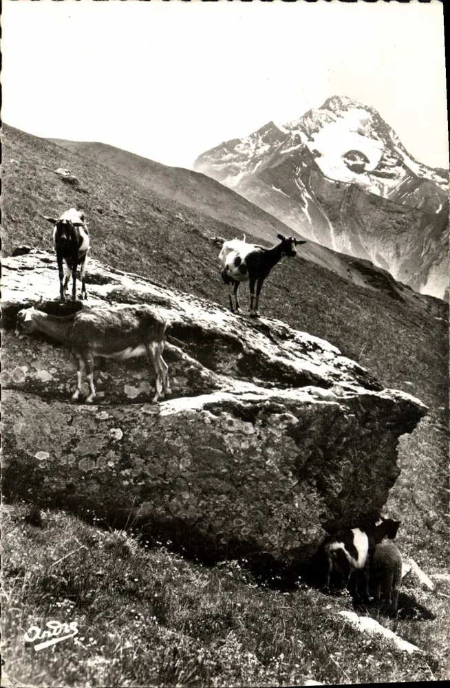 Cabras na montanha — Paisagens alpinas n°527 — Edição de Arte Grenoble - Frente
