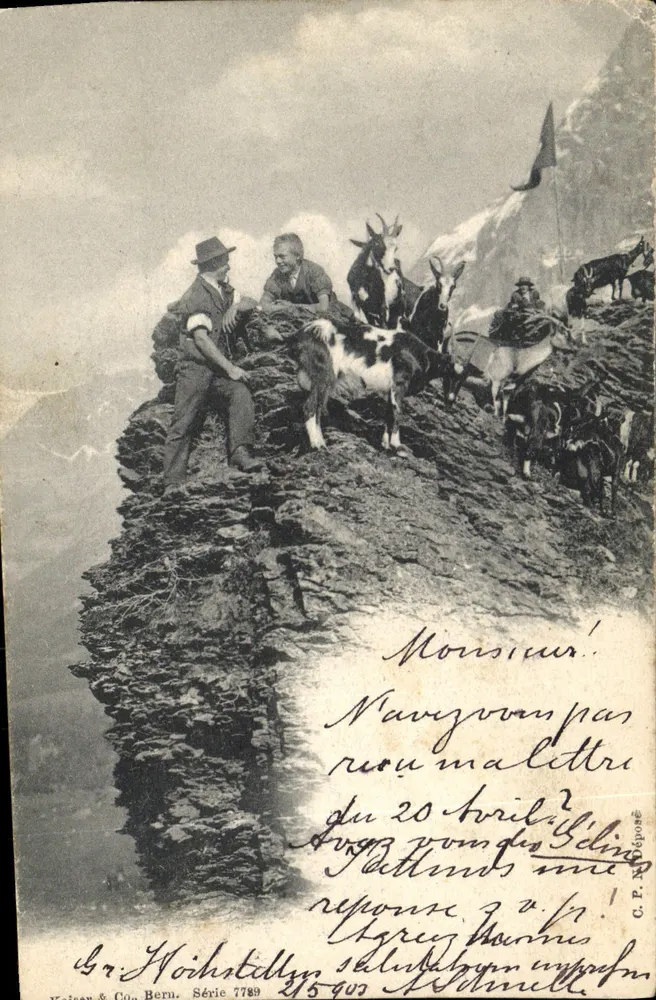 Gr. Höchstetten — Alpes suíços — editor Kaiser & Cie, Bern, série 7789 - Frente