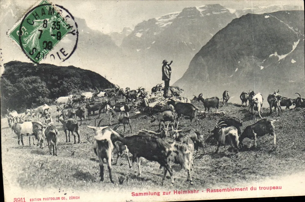 गॉट के संग्रह — बर्फीली पहाड़ियाँ — फोटोग्लोब कंपनी, ज़्यूरिख नंबर 8911 - आगे