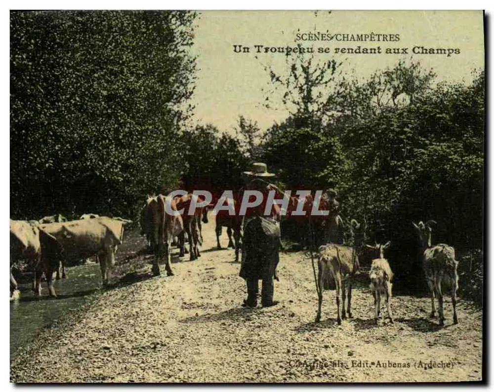 Ein Rinderherd auf dem Weg zu den Feldern — Ländliche Szenen — Verlag: Aubenas (Ardèche) - Vorderseite