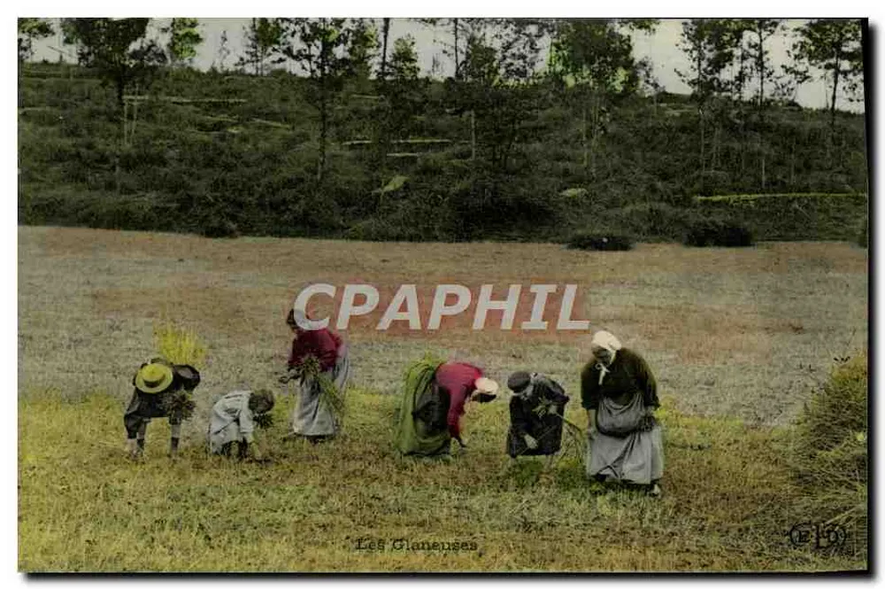 As Coligadoras — Cena de colheita — Editor C. Lévy, n° 159 - Frente