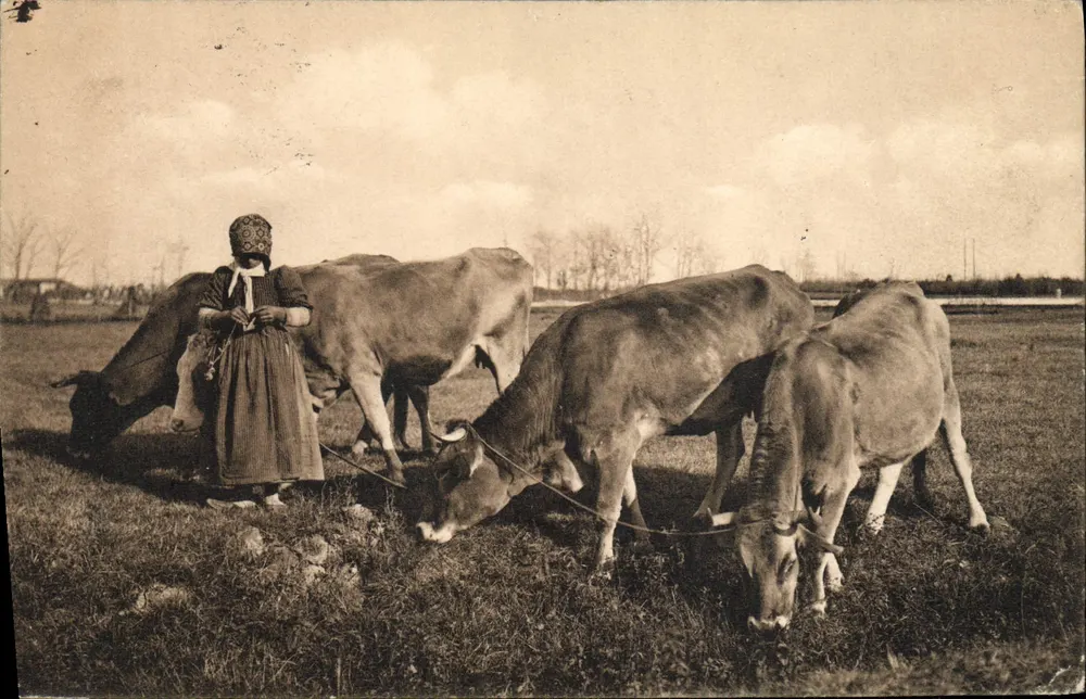 Mulher vestindo traje tradicional com vacas — cena pastoral — editor desconhecido - Frente