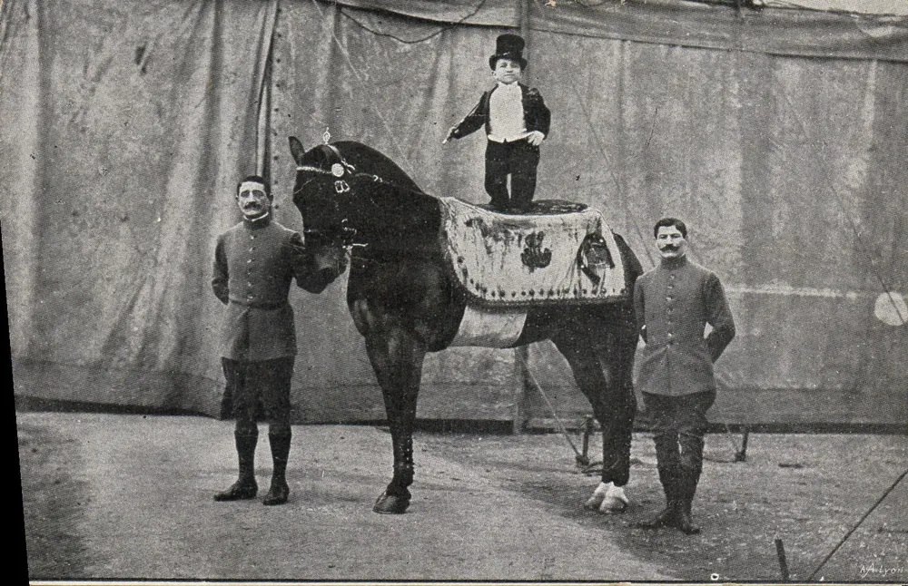 Circo — espetáculo equestre com criança em cavalo — editor Walyon - Frente
