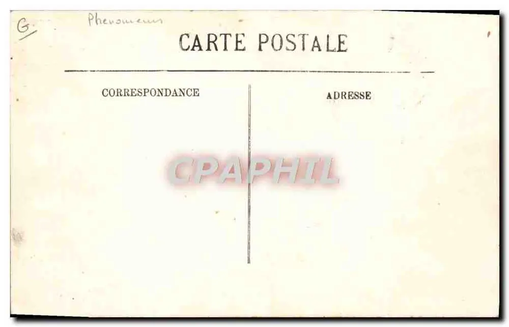 Stunning Reception — the Lilliputians also small, 'Marguerita', the smallest Lady aged 20 years, measuring 65 cm, weighing 7 kilograms, with Prince 'Deniso' and noble 'Mab' — publisher Phénoménus - Back