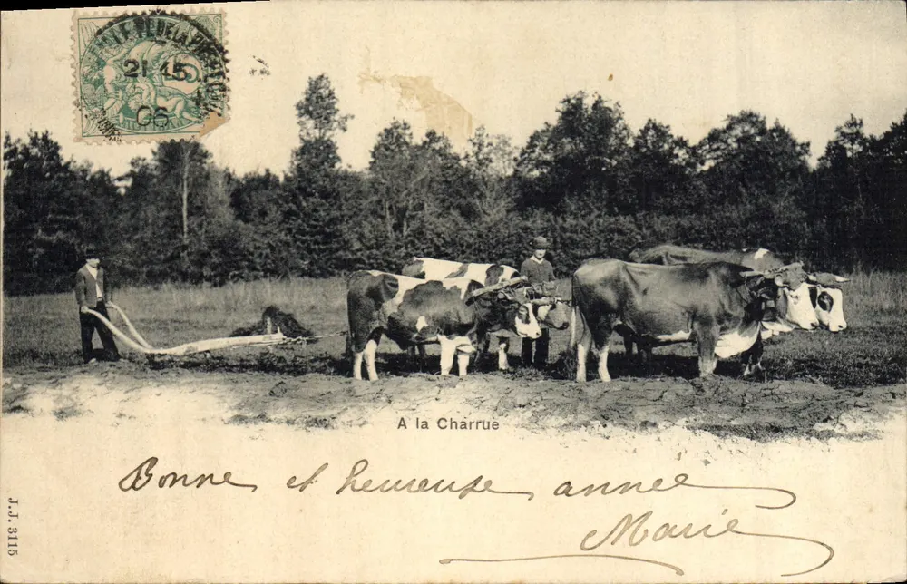 A la Charrue — Scena polowania z bykami — J.J. 3115 - Awers