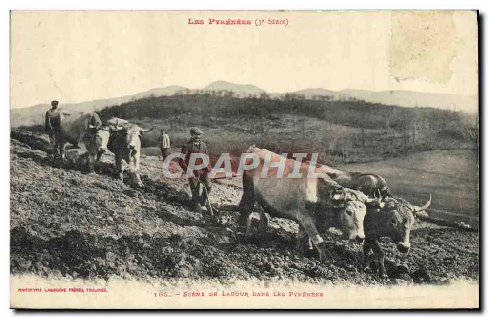 Cena de labuta nas Pirineus — Fototipo Labouine Frères Toulouse — 105 — 3a Série - Frente