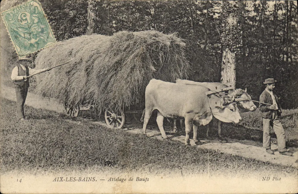 Aix-les-Bains — Ochtpaardentrein — ND Phut - Voorkant