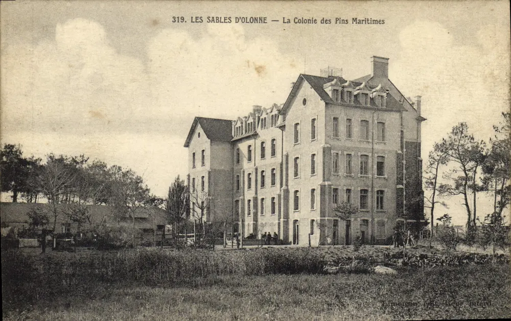 Les Sables d'Olonne — Kolonie der Pinien — Nr. 319 - Vorderseite