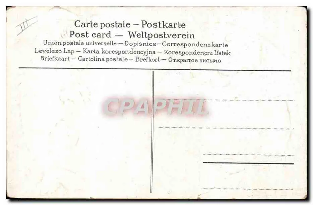 Zwei Fische in eleganter Kleidung — Portrait und Foto — Nr. III - Rückseite