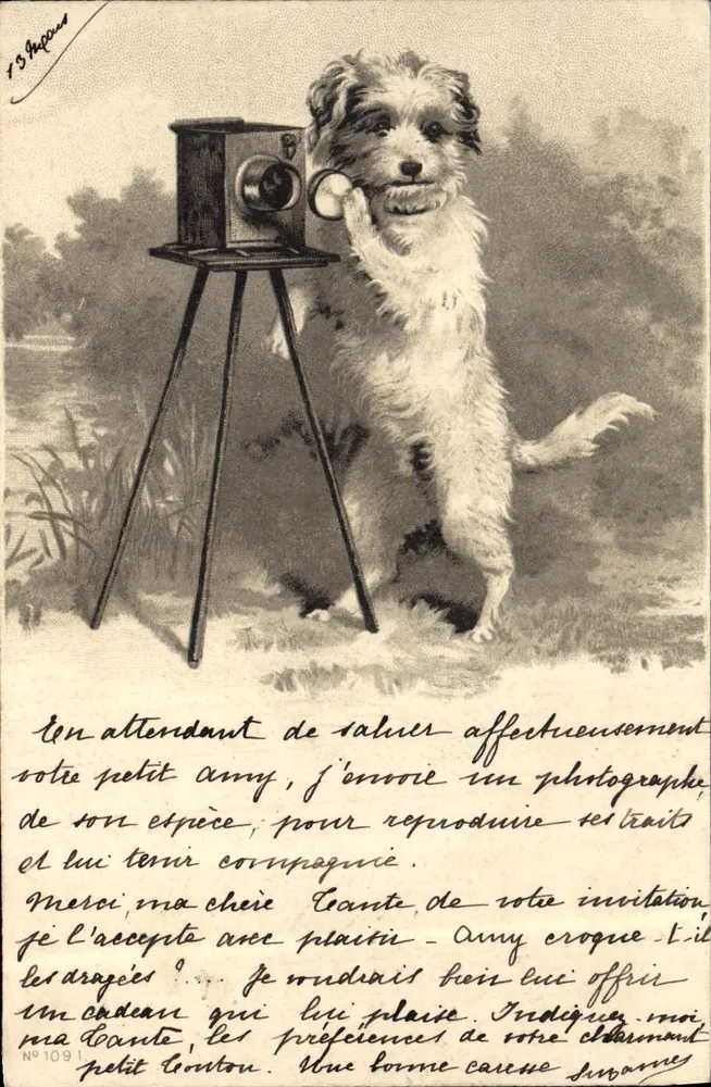 Pies fotografujący — ilustracja — F.S. Jacquard, n°109 - Awers