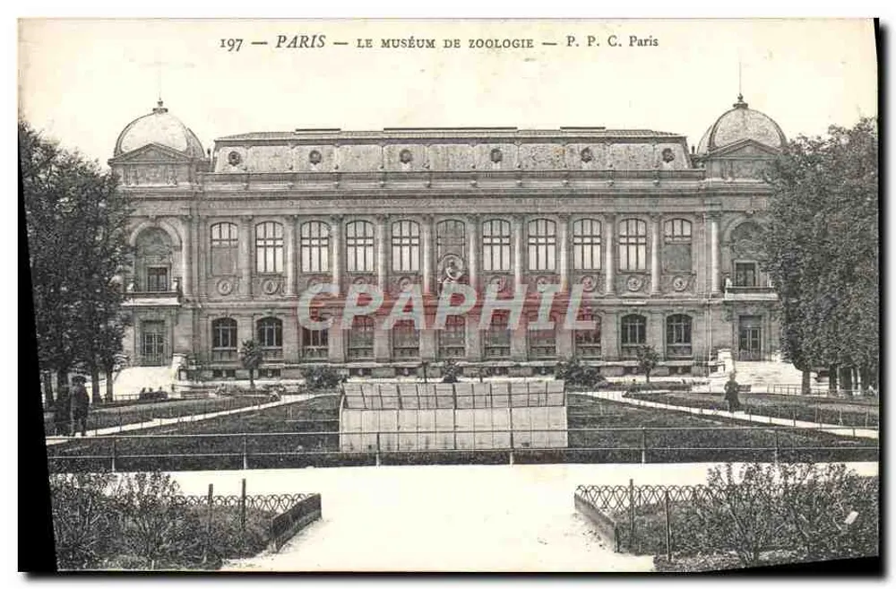 Paris — Das Zoologische Museum — P. P. C. Paris - Vorderseite