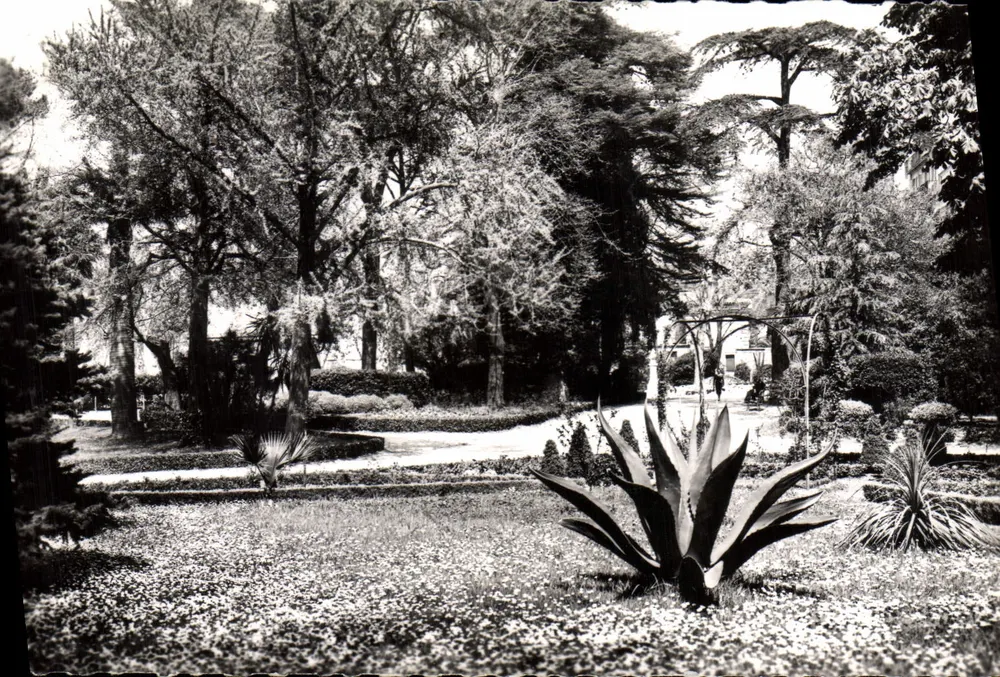 Toulon — Jardim da Cidade — Edições Clatigny, n°831 - Frente