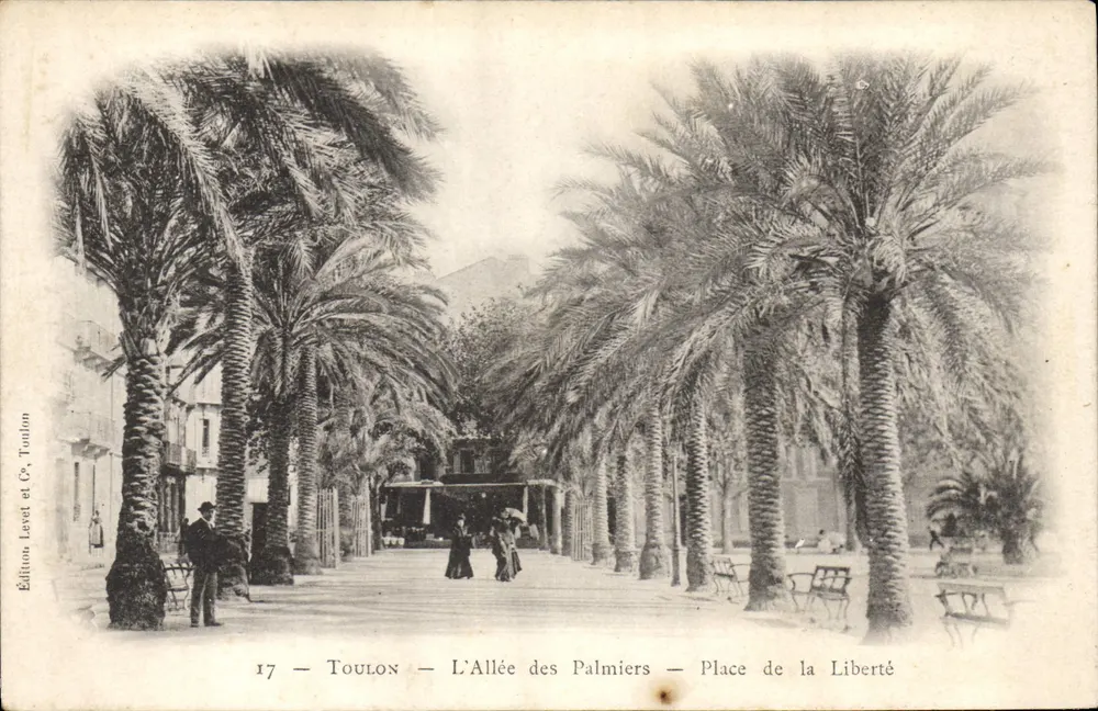 Toulon — Die Avenue der Palmen — Place de la Liberté — Edition Levet et Cie, Toulon, Nr. 17 - Vorderseite