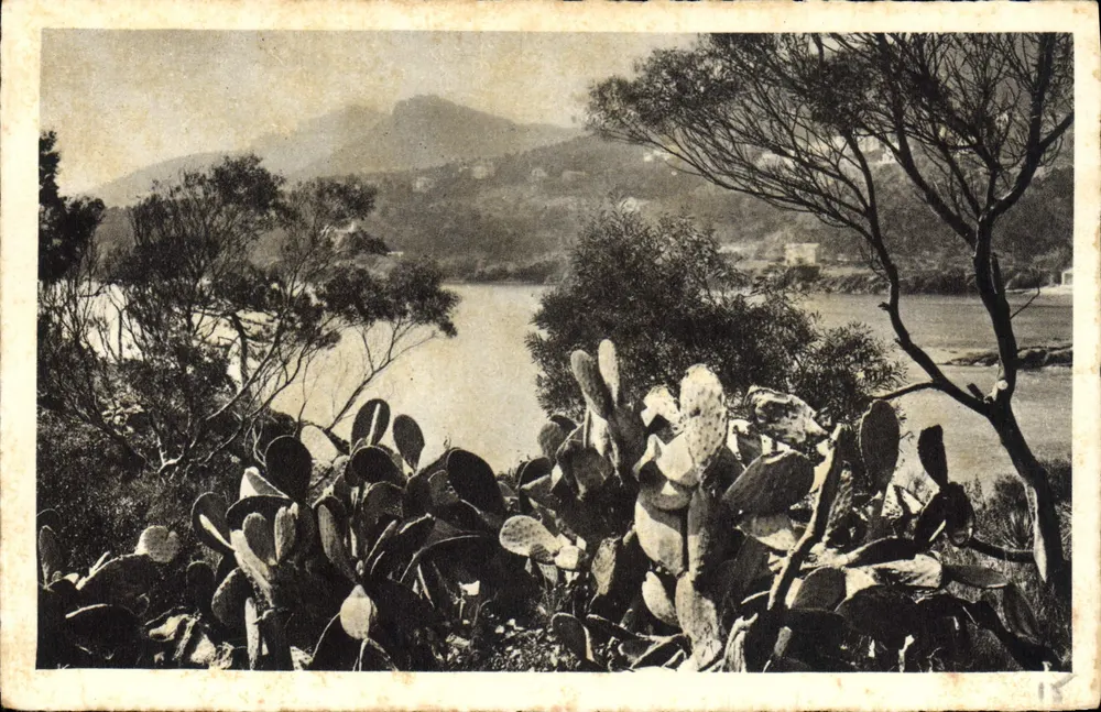La Corniche d'Or em direção ao Trayas — Coleção La Côte d'Azur — editor Braun & Cie, impresso Mulhouse-Dornach - Frente