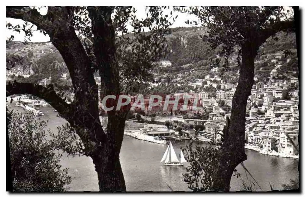 Villefranche-sur-Mer — Ansicht zwischen den Olivenbäumen — L. Gilletta & Cie, Fotograf - Vorderseite
