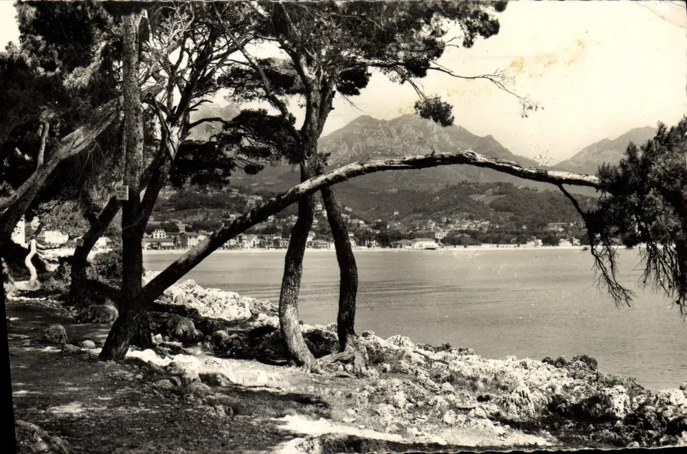 Pineta e Rochos do Cap Martin — A Costa do Azul — Edições Martin, V 29 - Frente