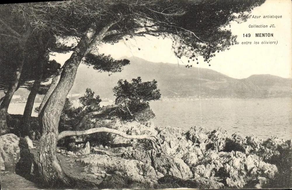 Menton — Vista tra gli ulivi — La Côte d'Azur artistica, Collezione JC, n° 149 - Recto