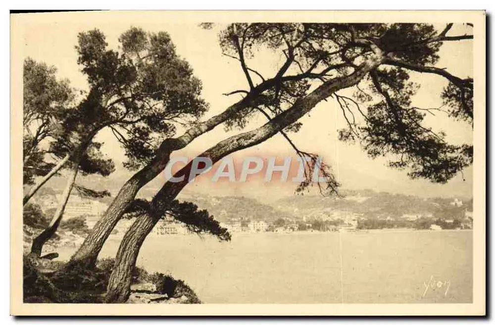 Menton (Alpes-Maritimes) — Vista tirada do Cabo Martin — Les Éditions d'Art YON - Frente